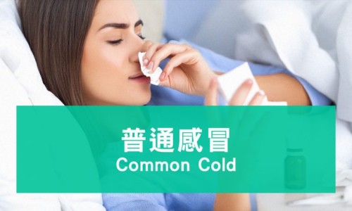 康恩贝感冒价格网 - 为你提供康恩贝最出名的药、康恩贝感冒胶囊